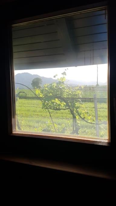 Chalet Kujavnk Kranj Dış mekan fotoğraf